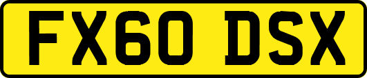 FX60DSX