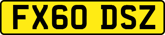 FX60DSZ