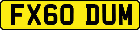 FX60DUM