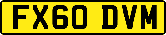 FX60DVM