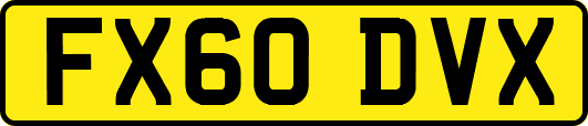 FX60DVX