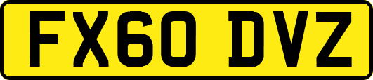 FX60DVZ