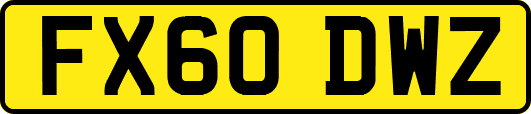 FX60DWZ