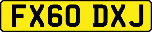 FX60DXJ