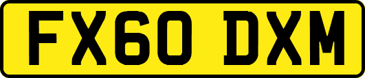 FX60DXM