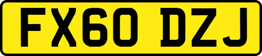 FX60DZJ