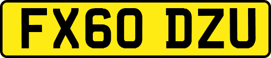 FX60DZU