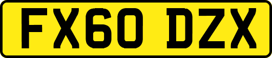 FX60DZX
