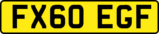 FX60EGF