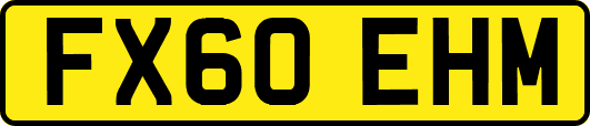 FX60EHM