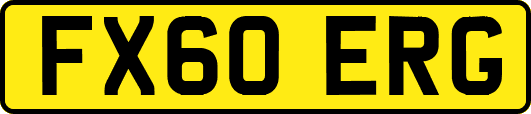 FX60ERG