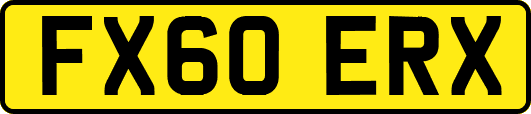 FX60ERX