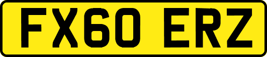 FX60ERZ