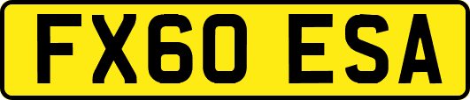 FX60ESA