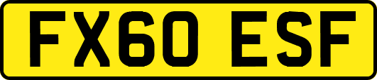 FX60ESF