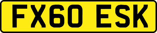 FX60ESK
