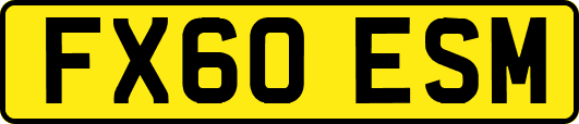 FX60ESM