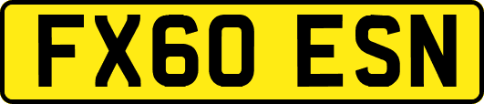 FX60ESN
