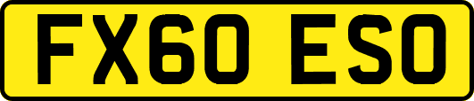 FX60ESO
