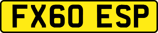 FX60ESP