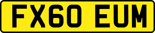FX60EUM