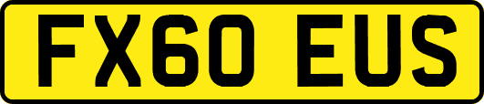 FX60EUS
