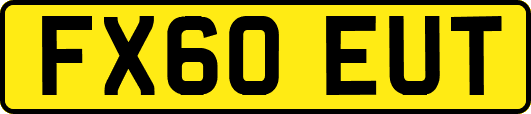 FX60EUT