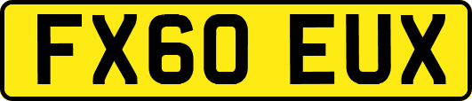FX60EUX