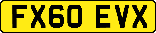 FX60EVX