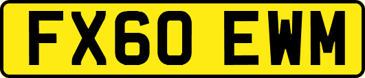 FX60EWM
