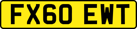 FX60EWT