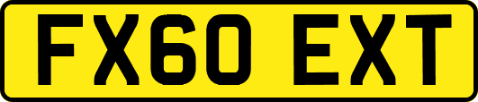 FX60EXT