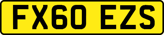 FX60EZS