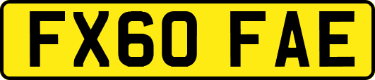 FX60FAE