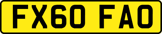 FX60FAO