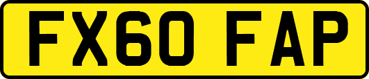 FX60FAP