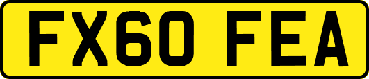 FX60FEA