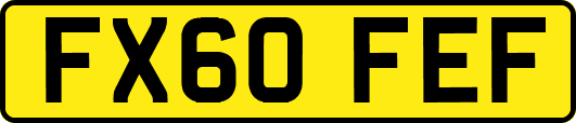 FX60FEF