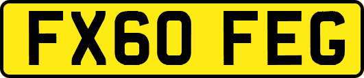 FX60FEG
