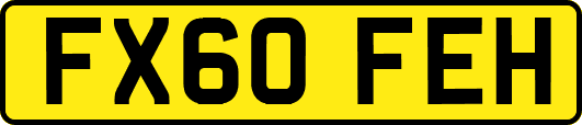 FX60FEH