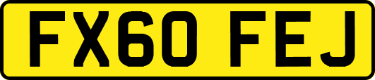 FX60FEJ