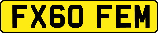 FX60FEM