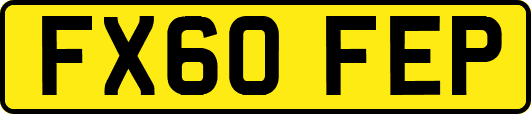 FX60FEP
