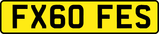 FX60FES