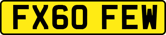 FX60FEW