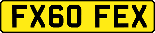 FX60FEX
