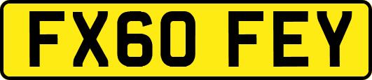 FX60FEY
