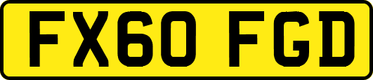 FX60FGD