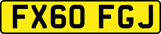 FX60FGJ