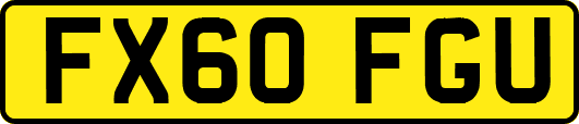 FX60FGU
